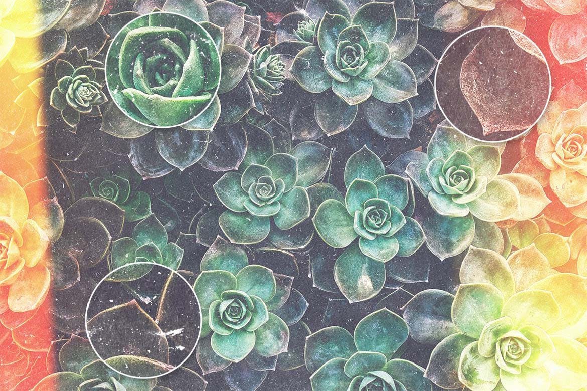 抽象又优雅的背景底纹纹理素材包