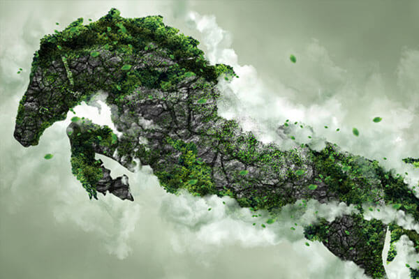 绿草苔藓岩石照片效果PS动作