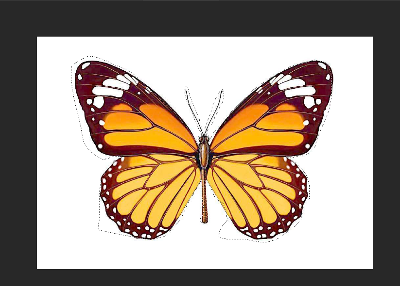 用PS套索工具对物品抠图的方法技巧