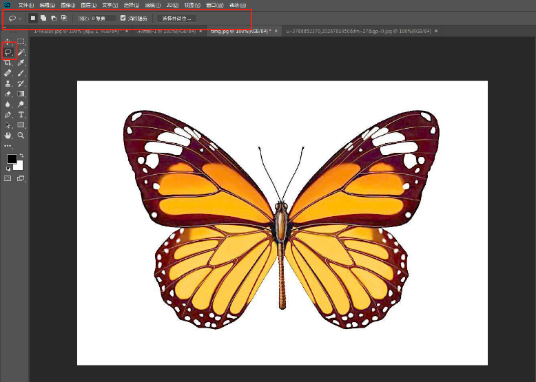 用PS套索工具对物品抠图的方法技巧