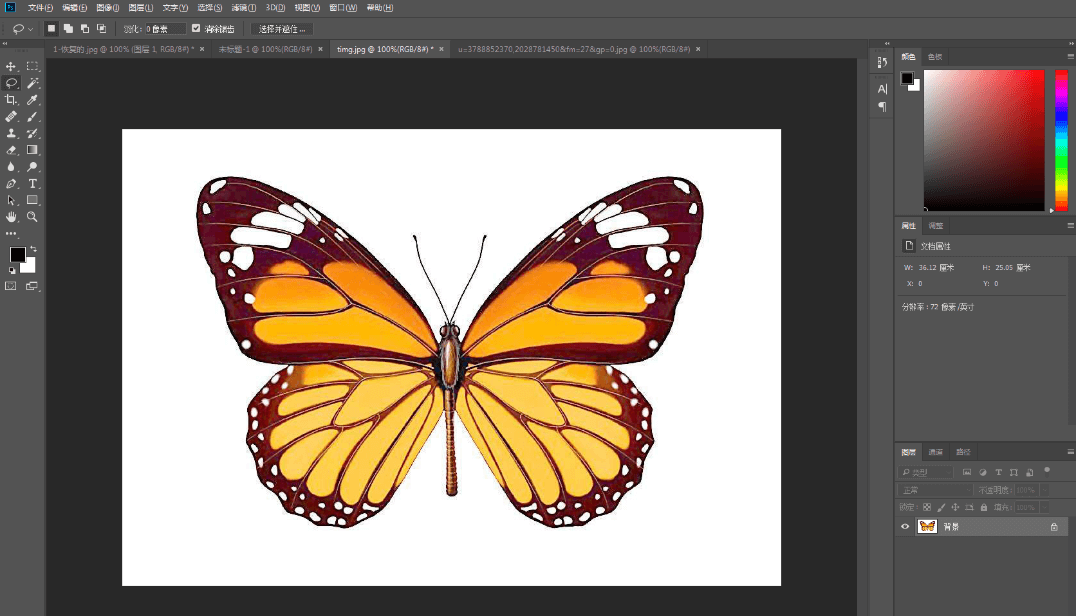 用PS套索工具对物品抠图的方法技巧