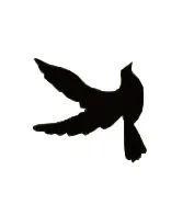 如何设计翠玉质感的图标?(PS教程) Photoshop制作一枚翠玉质感的图标