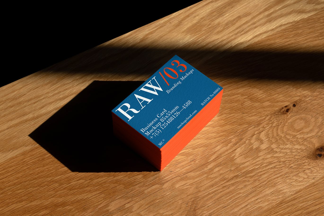 原始品牌模型VI设计展示PSD样机素材（ 第一卷）