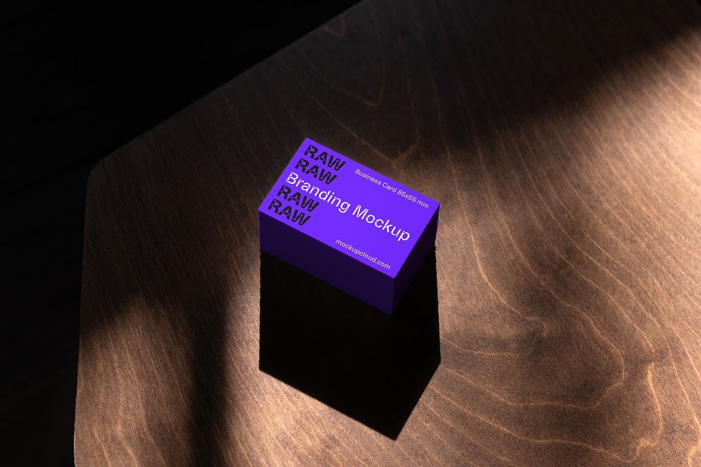 原始品牌模型VI设计展示PSD样机素材（ 第一卷）