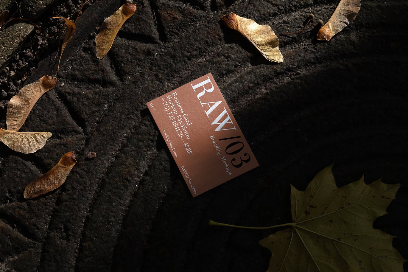 原始品牌模型VI设计展示PSD样机素材（ 第二卷）