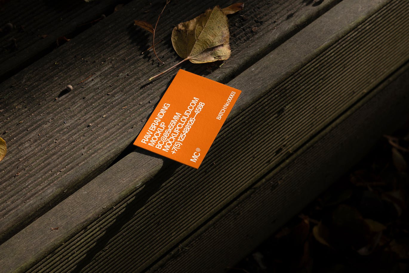 原始品牌模型VI设计展示PSD样机素材（ 第二卷）