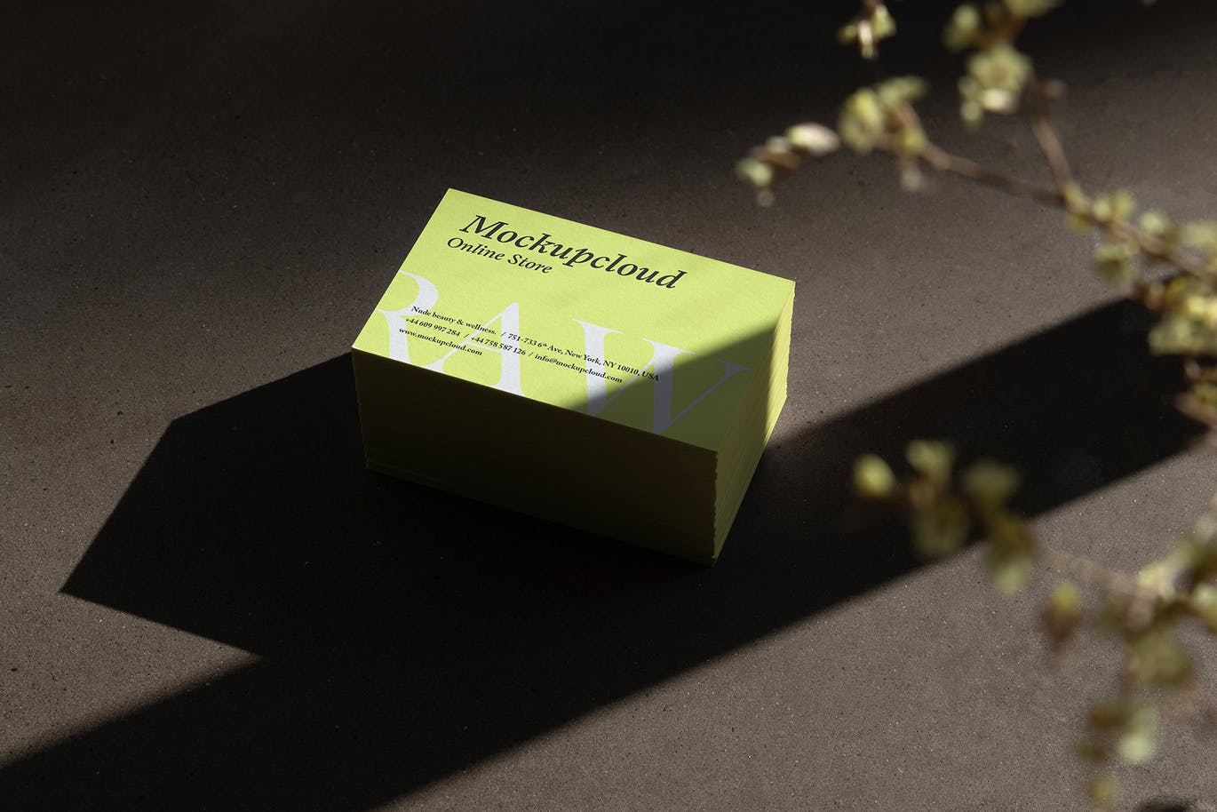 原始品牌模型VI设计展示PSD样机素材（ 第二卷）