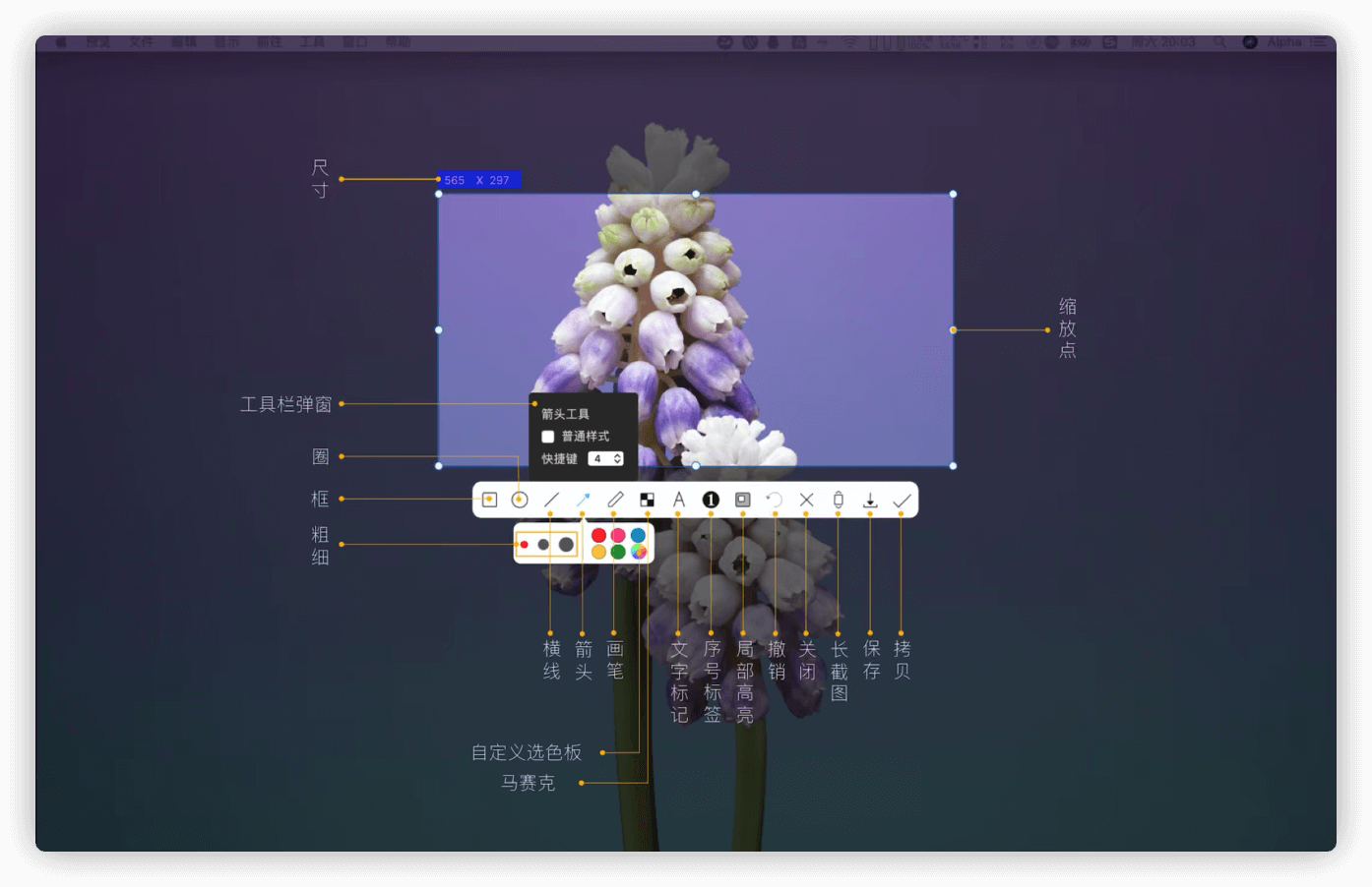 iShot 截图标注工具 1.7.0