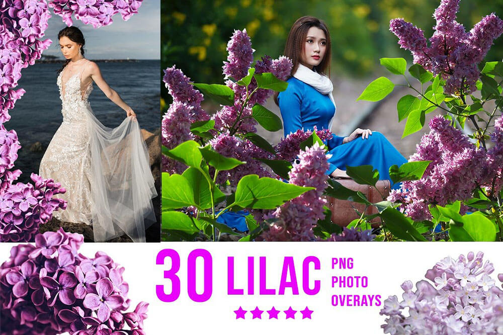 3300+不同类型风格照片艺术效果图片素材包