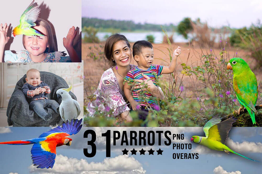 3300+不同类型风格照片艺术效果图片素材包