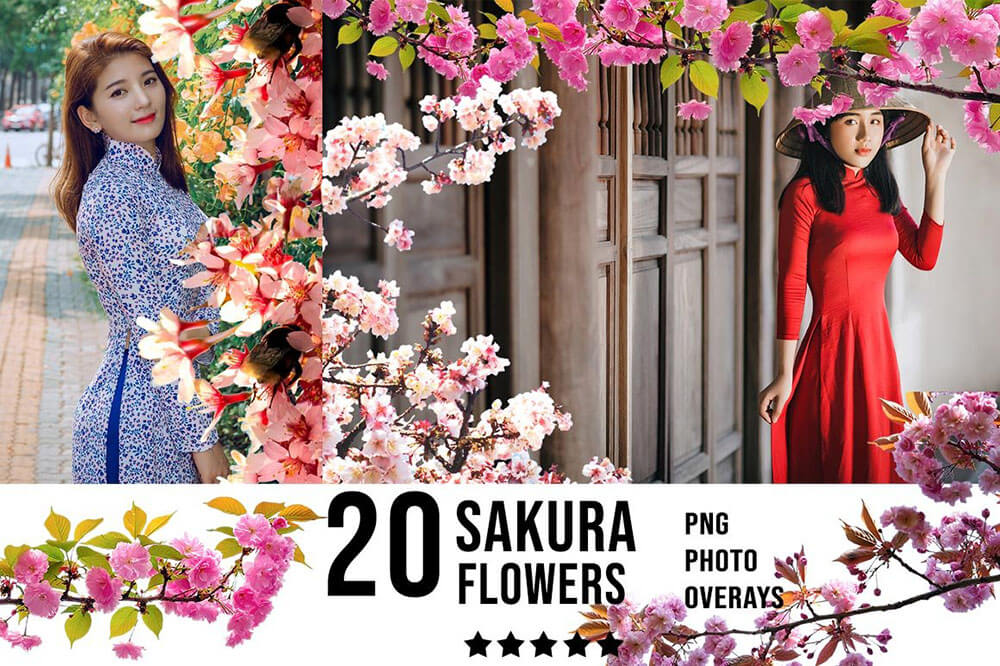 3300+不同类型风格照片艺术效果图片素材包