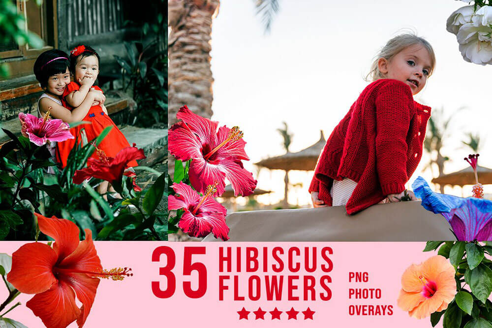 3300+不同类型风格照片艺术效果图片素材包