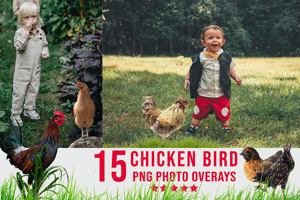 3300+不同类型风格照片艺术效果图片素材包