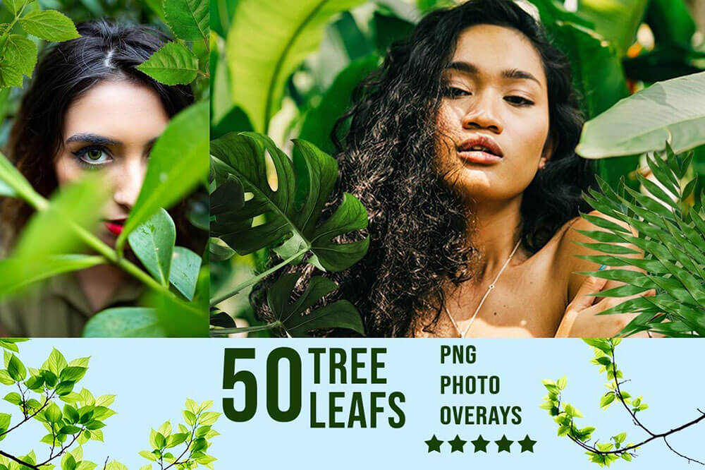 3300+不同类型风格照片艺术效果图片素材包