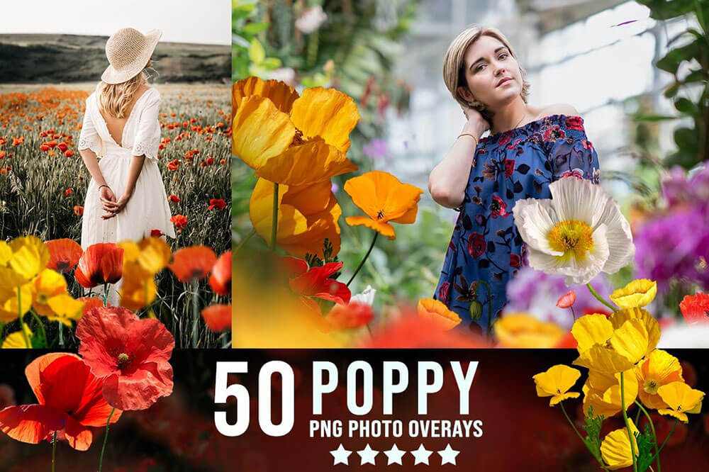 3300+不同类型风格照片艺术效果图片素材包