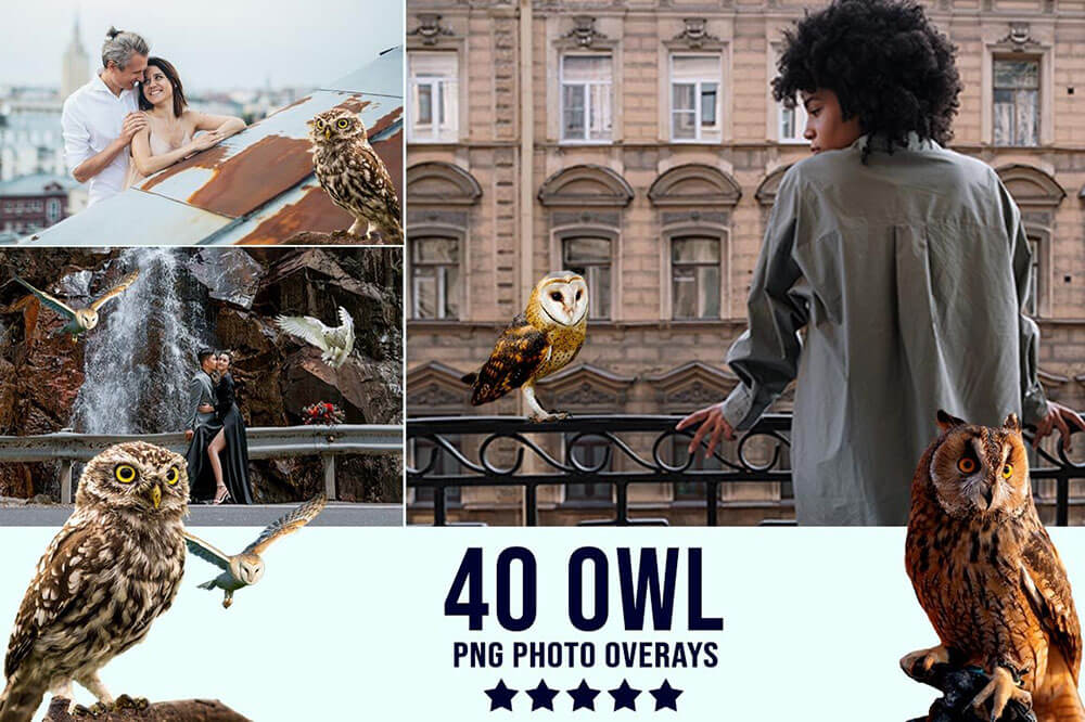 3300+不同类型风格照片艺术效果图片素材包