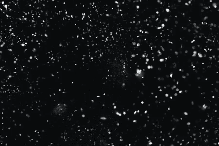 15个逼真质感灰尘雪花背景底纹纹理笔刷