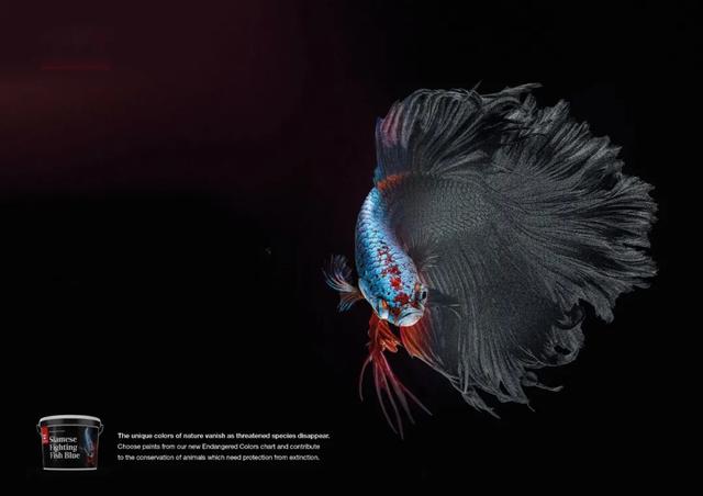 广告设计欣赏！这些创意用脑洞让甲方痛快过稿