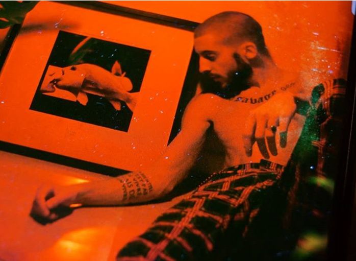 PS大神！老虎的屁股你还摸不摸？！