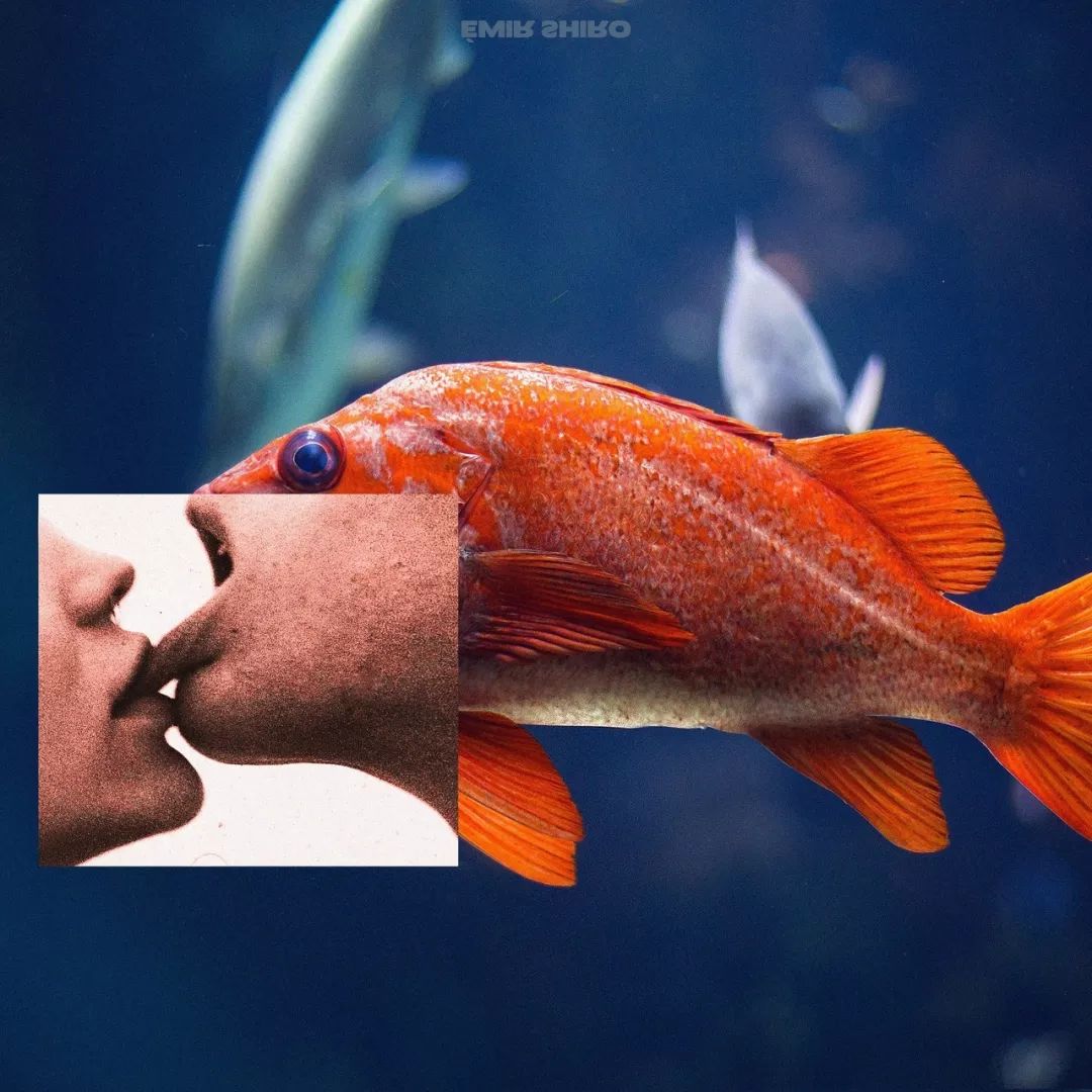 PS大神！老虎的屁股你还摸不摸？！