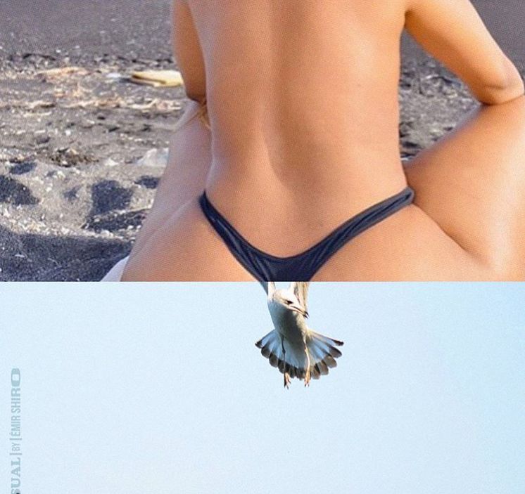 PS大神！老虎的屁股你还摸不摸？！