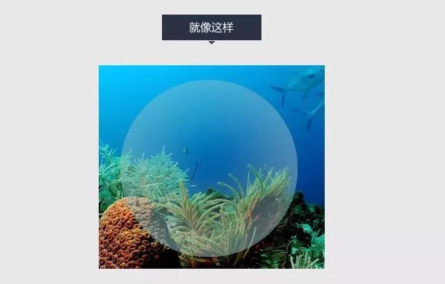 巧用PS制作创意热带水球效果