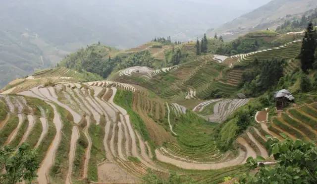 4种超好用的PS调色小技巧,知道的人不多!