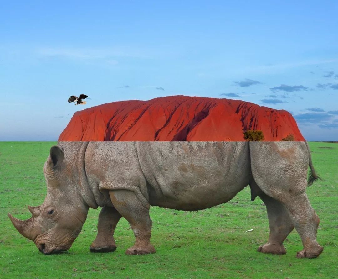 PS大神！老虎的屁股你还摸不摸？！