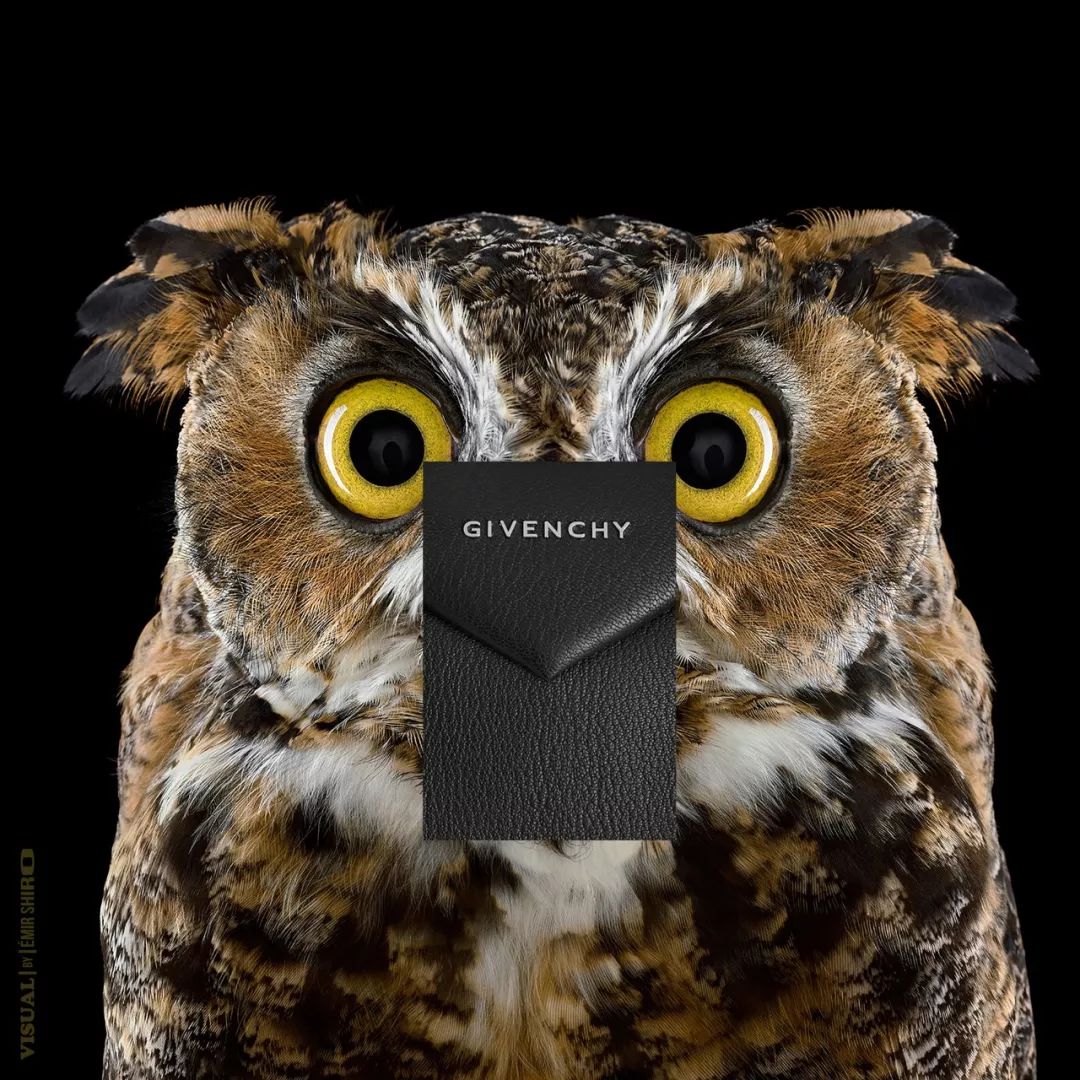 PS大神！老虎的屁股你还摸不摸？！