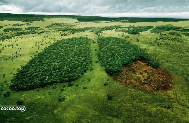 那些公益广告的优秀创意形式
