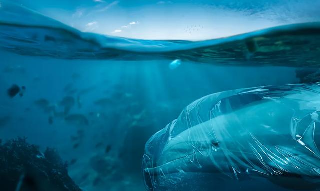 广告设计欣赏！广告创意需要的是出奇的脑洞