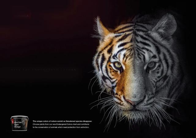 广告设计欣赏！这些创意用脑洞让甲方痛快过稿