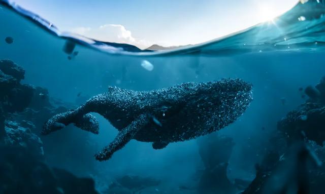 广告设计欣赏！广告创意需要的是出奇的脑洞