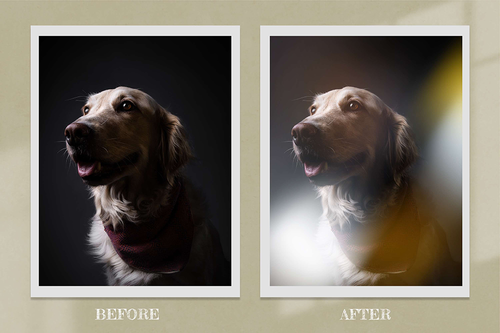 电影数字散景光效照片叠层图片素材