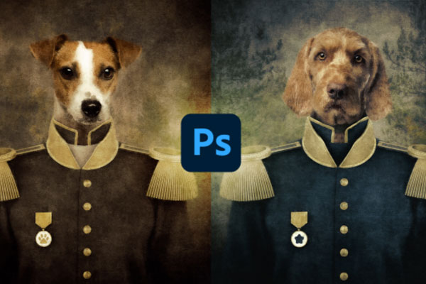 用PS动作一键给宠物穿上军服效果