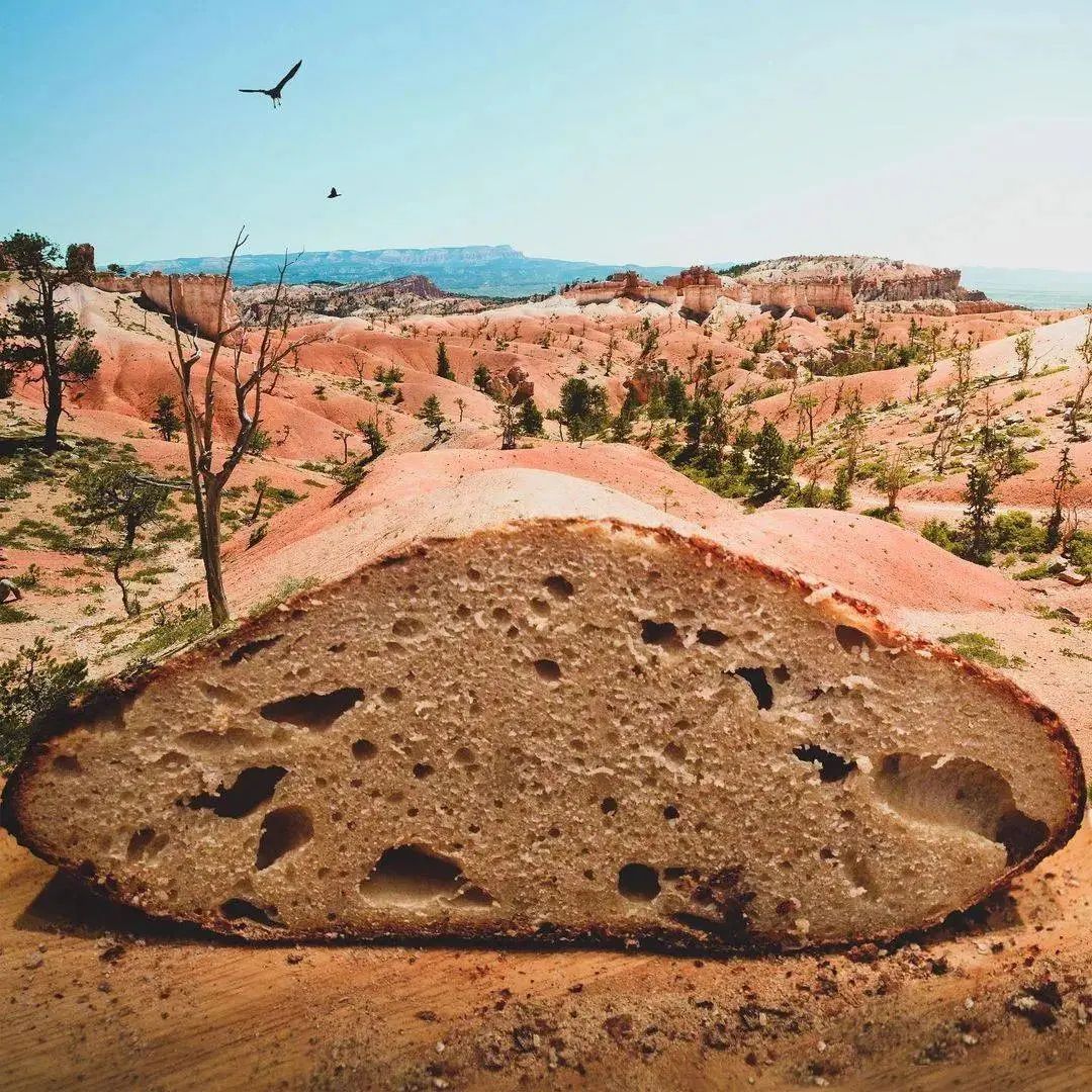PS大神到底可以有多野?看了就知道了!