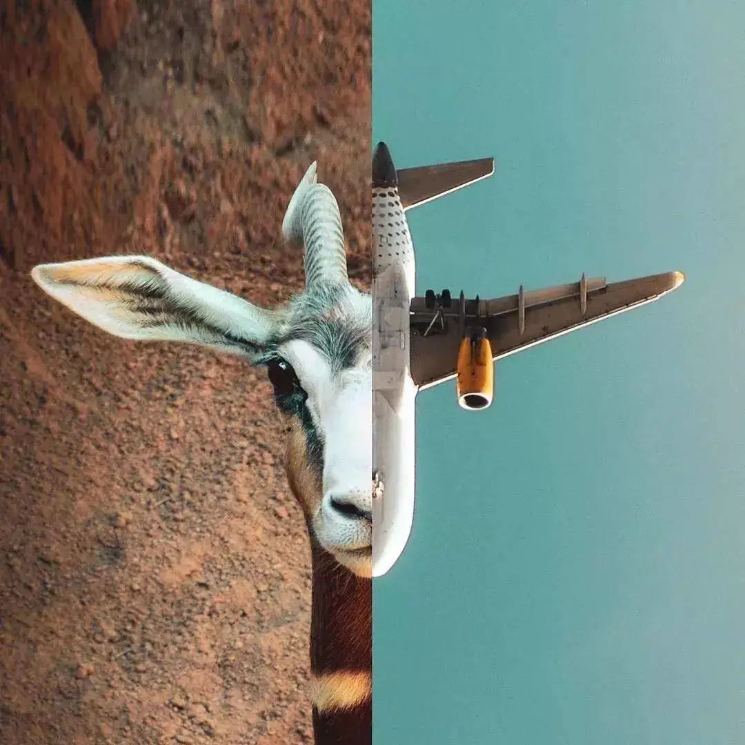 PS大神到底可以有多野?看了就知道了!