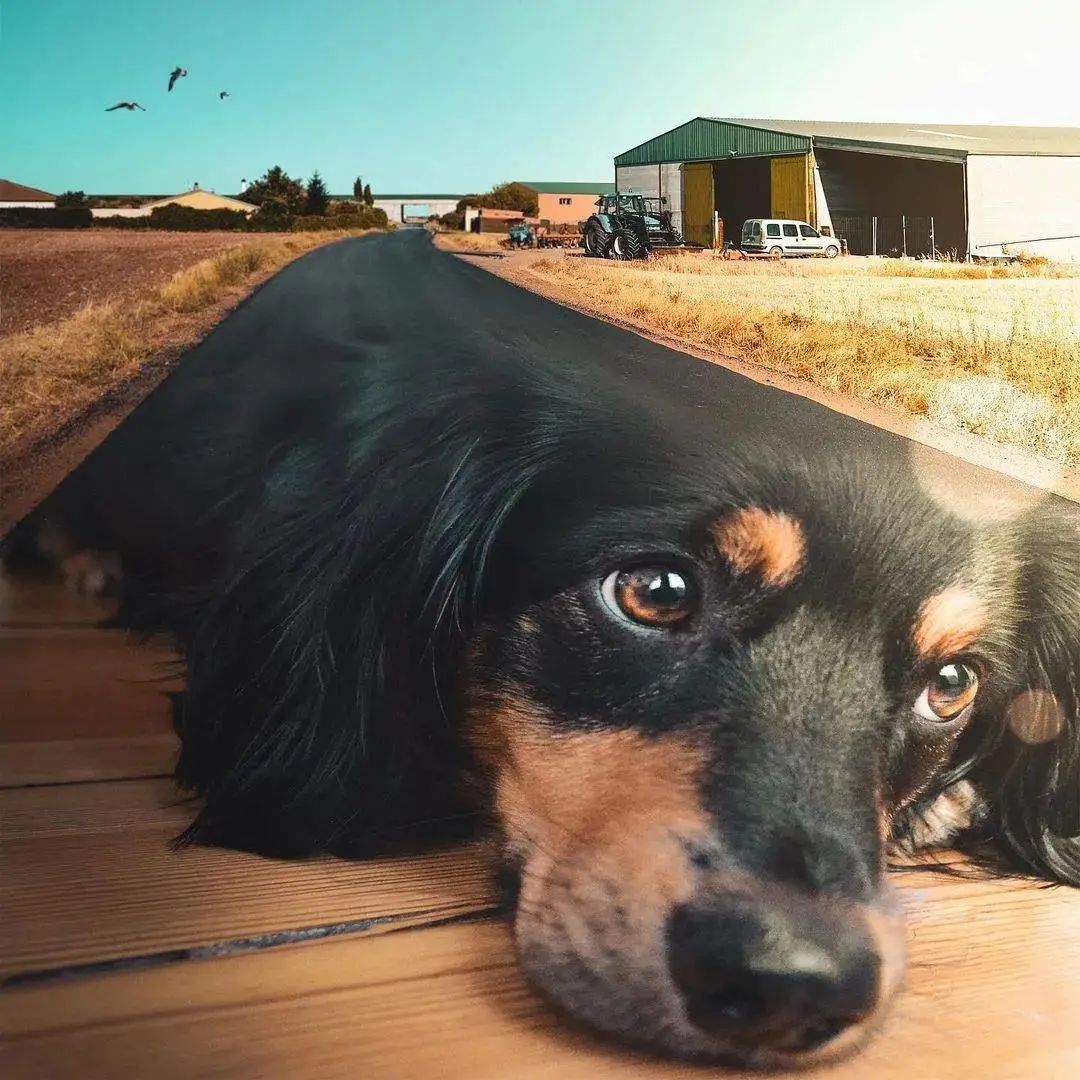 PS大神到底可以有多野?看了就知道了!