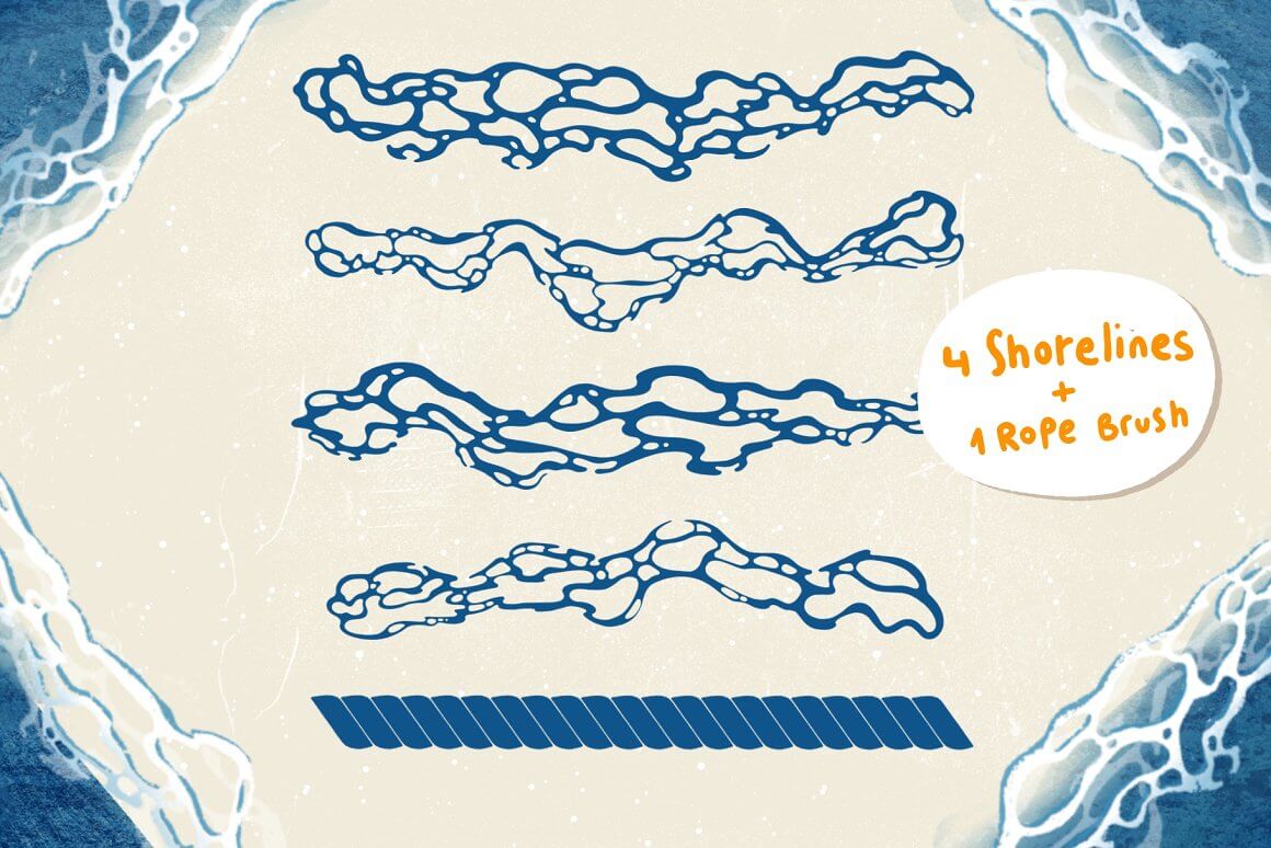 贝壳和海洋元素主题Procreate图案笔刷素材