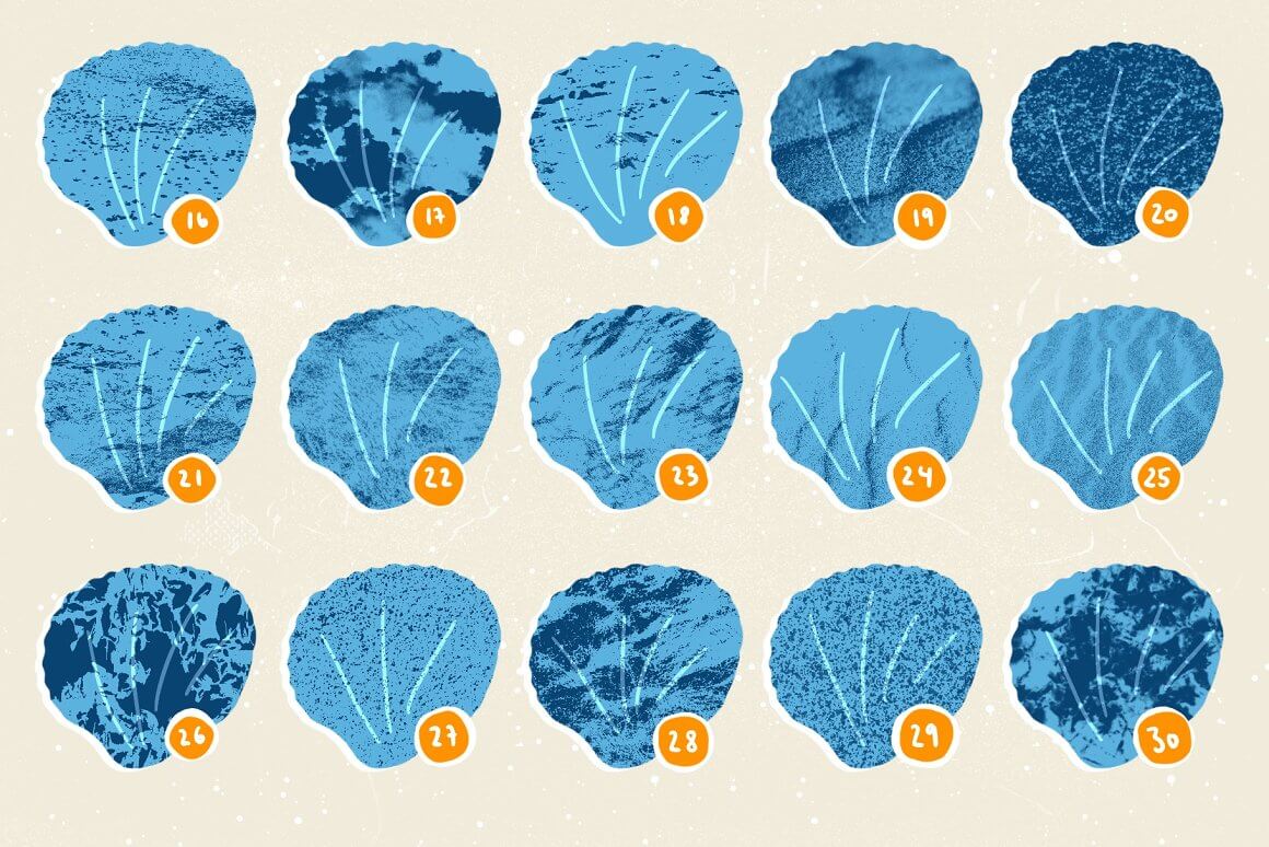 贝壳和海洋元素主题Procreate图案笔刷素材