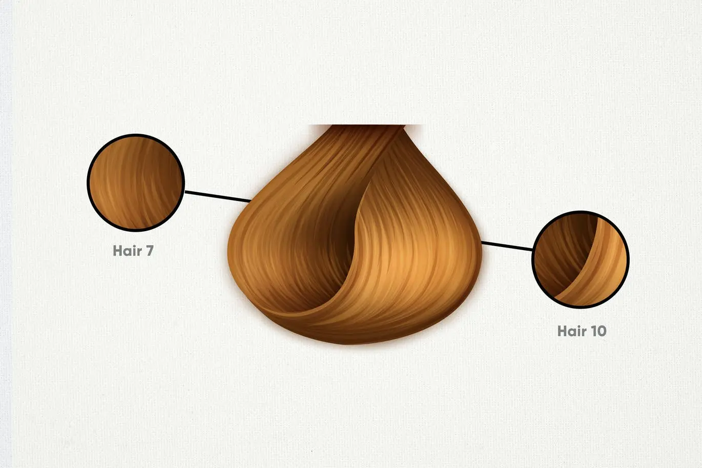 10个用Procreate创建的逼真毛发笔刷下载