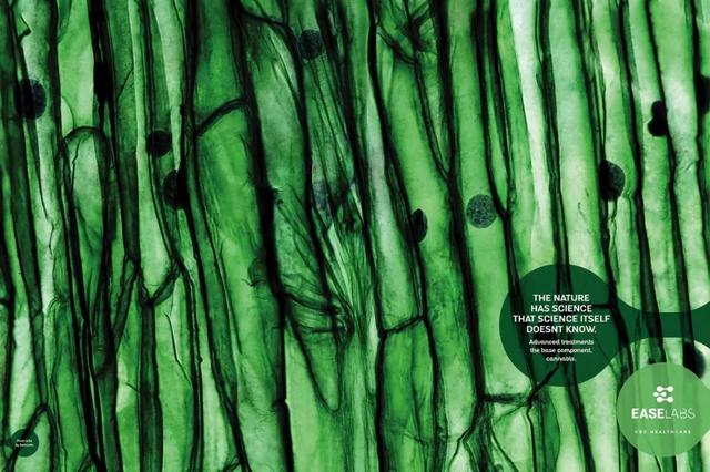 广告设计欣赏！广告设计需要脑洞激活