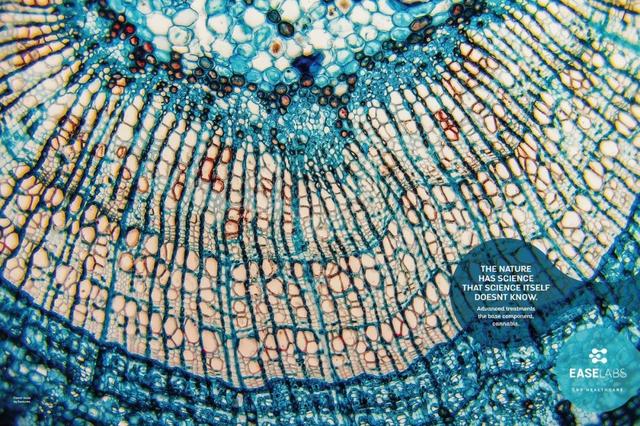 广告设计欣赏！广告设计需要脑洞激活