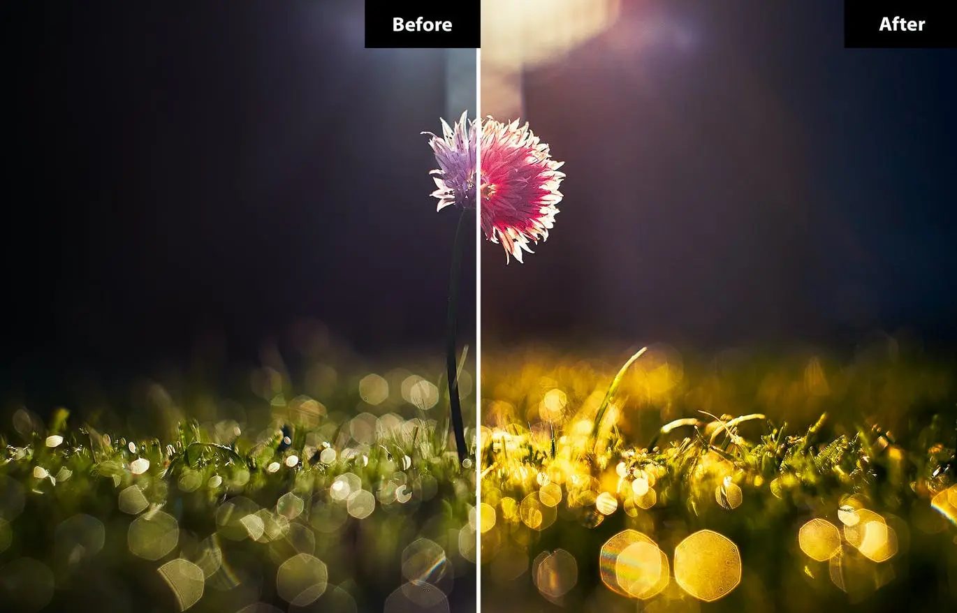 一组适合春天的清新lightroom&photoshop动作预设