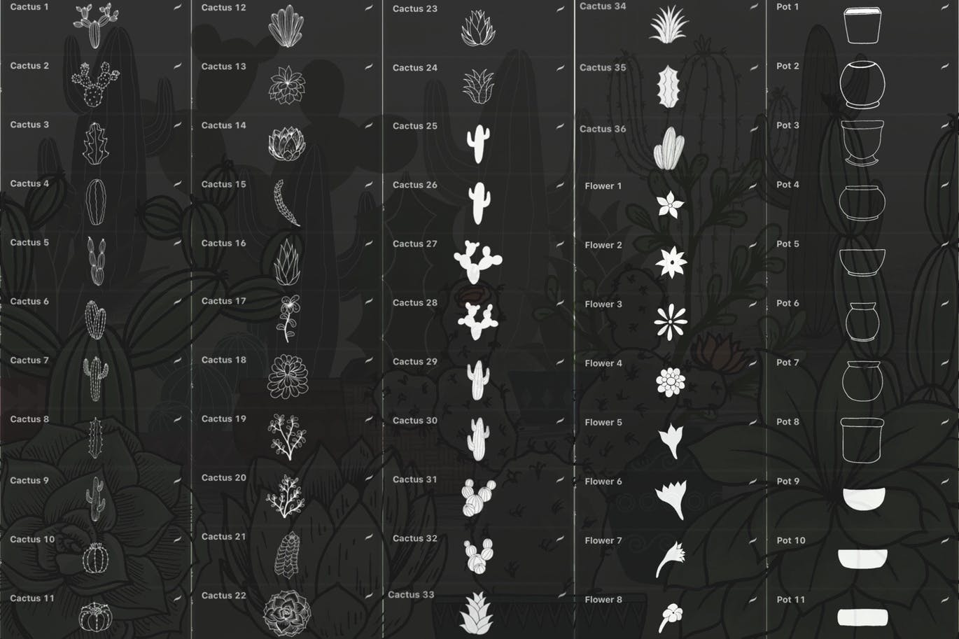 80种多肉植物仙人掌花盆Procreate笔刷素材包