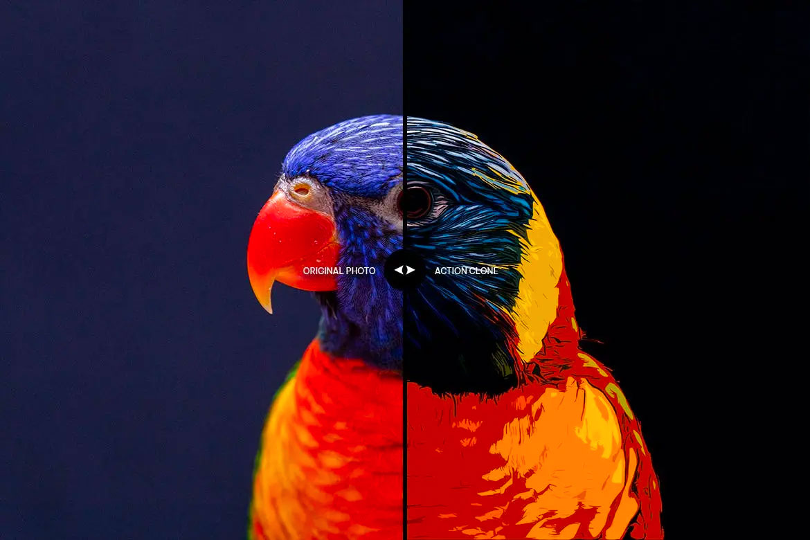 数量绘制效果photoshop动作预设