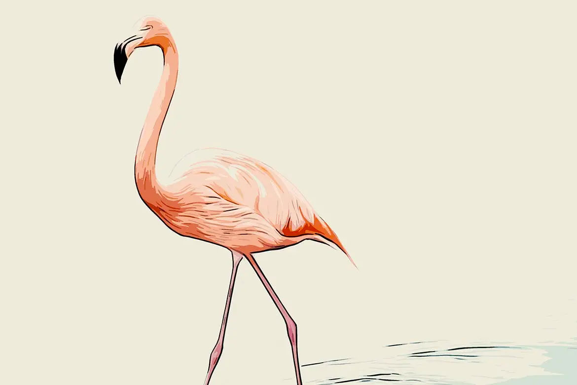 数量绘制效果photoshop动作预设