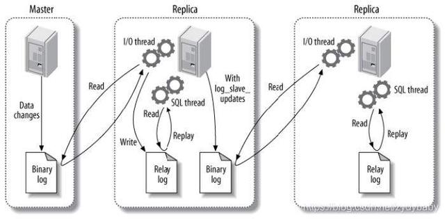 如何用mysql建立数据库（MySQL数据库基础知识及优化）