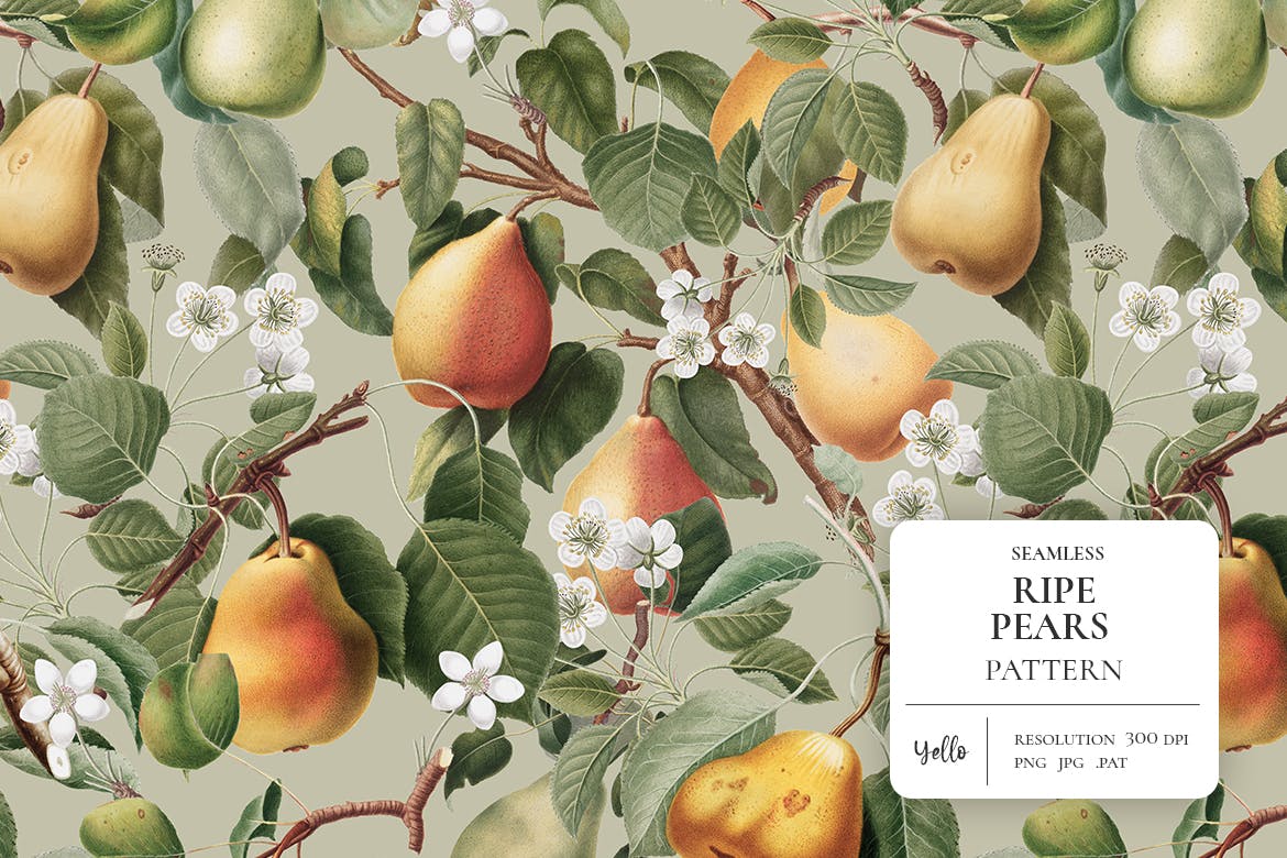 无缝水果梨图片素材（PNG）