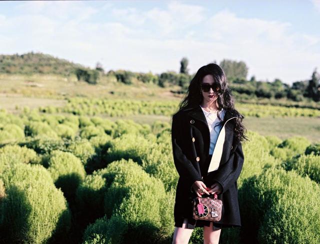 跟着刘亦菲学习拍照思路,8个万能技巧日常拍照同样适用